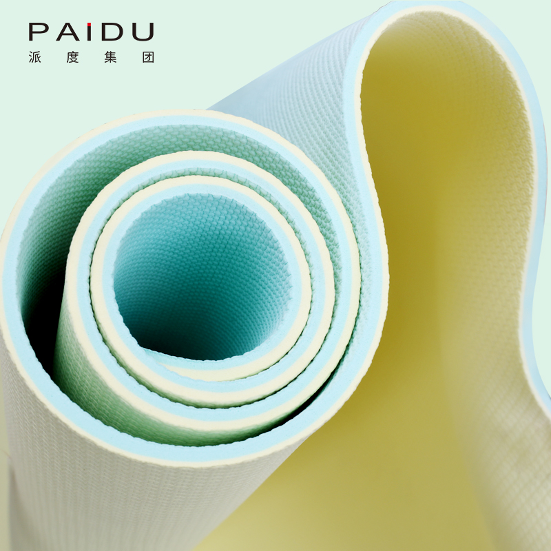 High Elastic Tpe Yoga Mat Customized Quality Double Color 6mm Manufacturers - Paidu Supplies