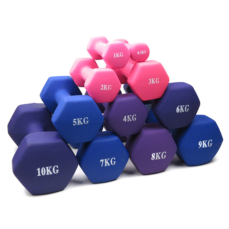 Dip Plastic Dumbbell Lady Fitness Home Solid Iron Small Dumbbell Strength Training Equipment - Paidu Group